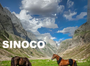 equine light therapy kit