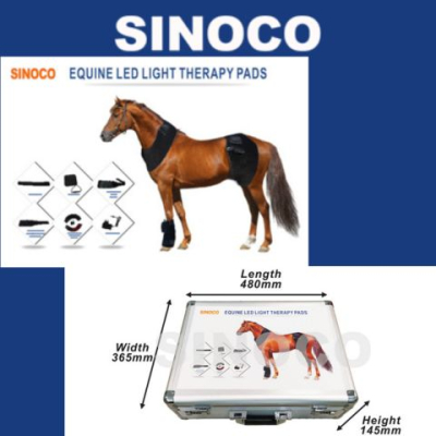 equine light therapy kit