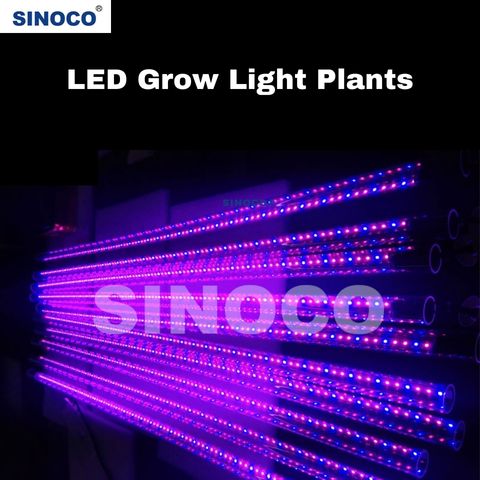 LED grow light plants
