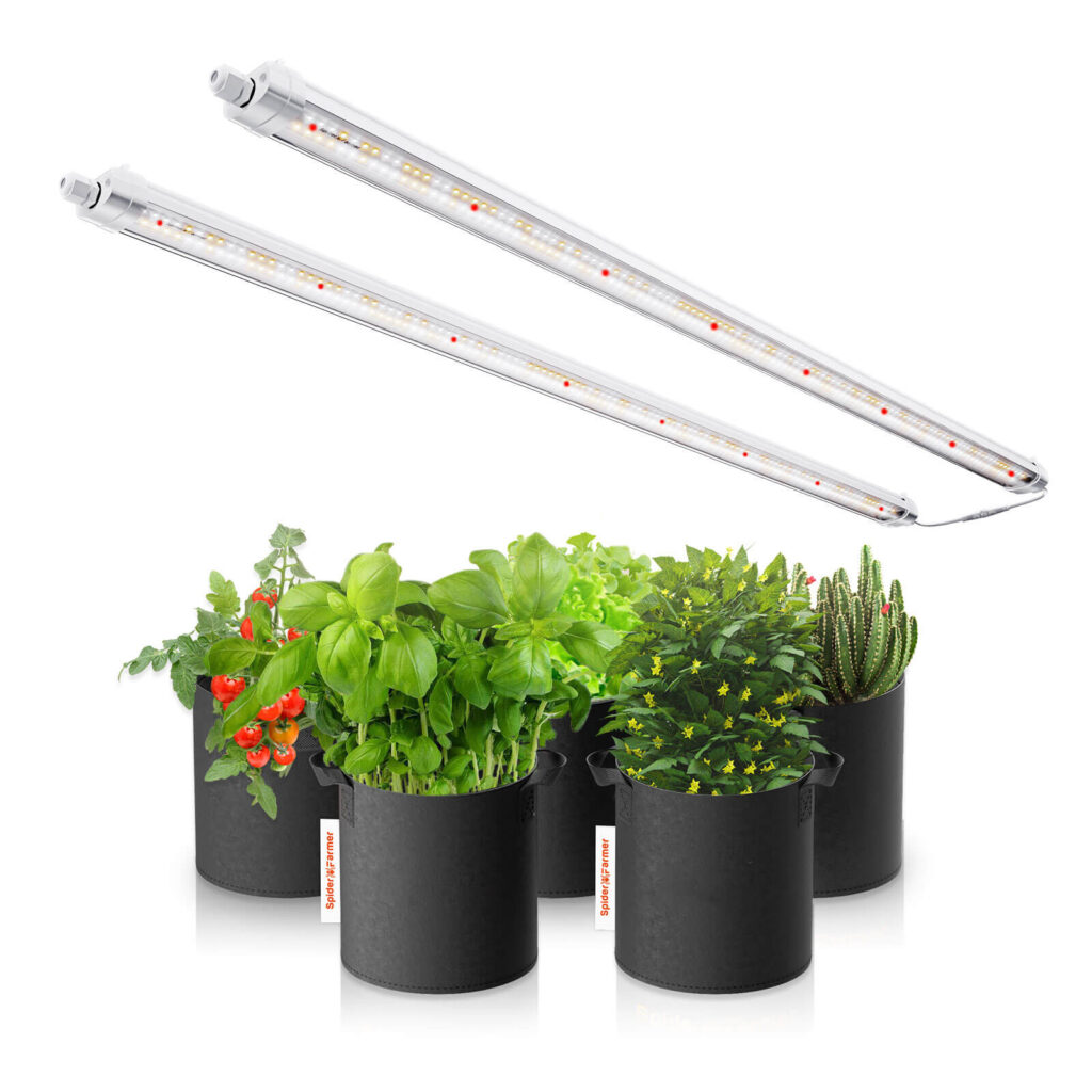 LED grow light plants