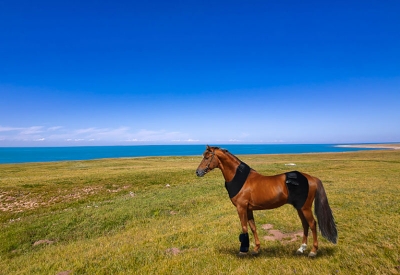 light therapy equipment